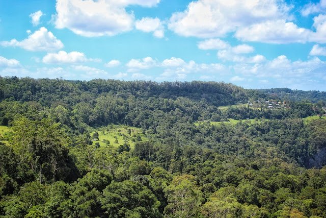 Mt Tamborine