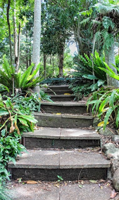Mt Tamborine